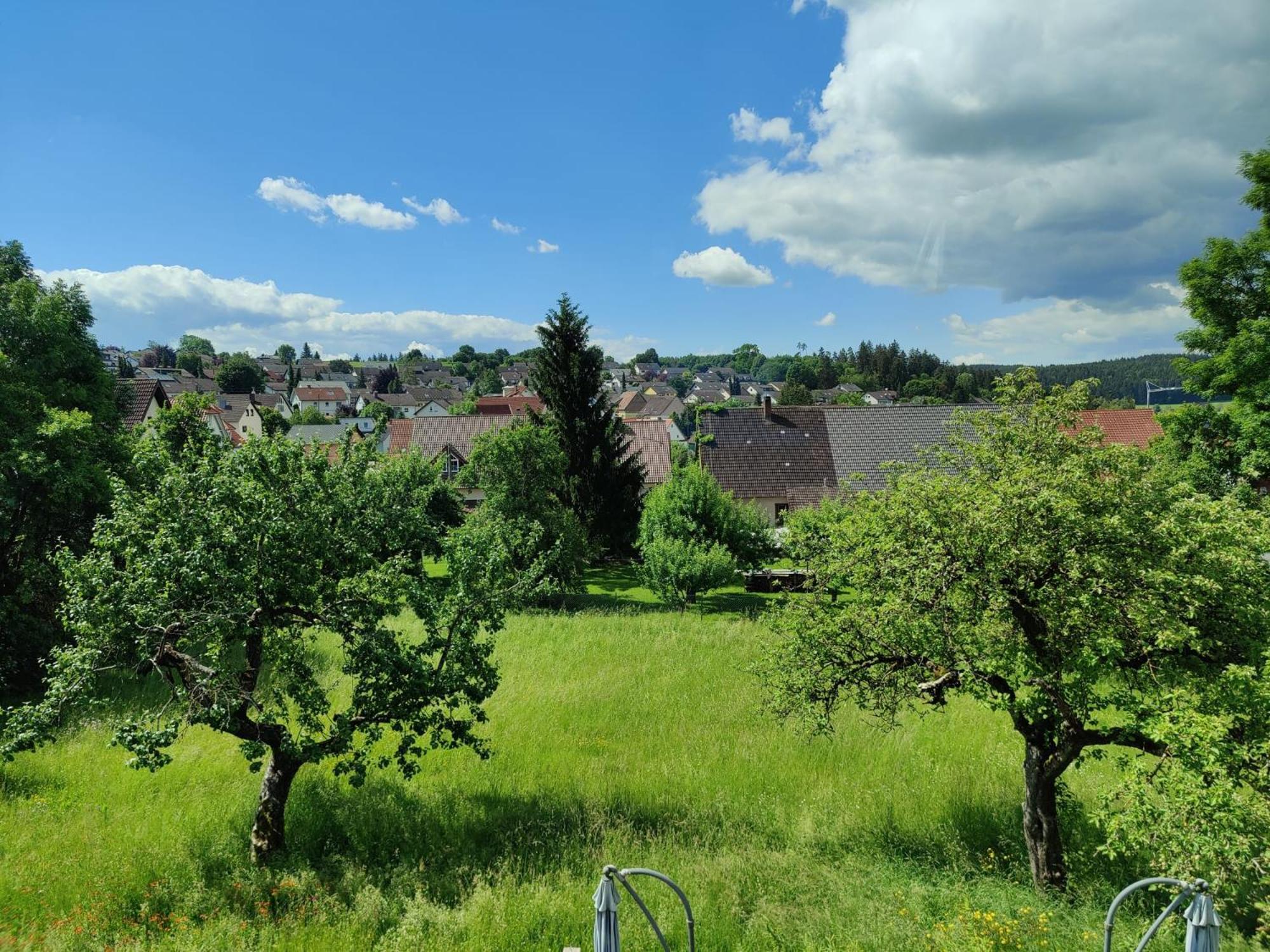 Ferien Im Schwarzwald - Brigachtal Apartment Heergasse Екстериор снимка